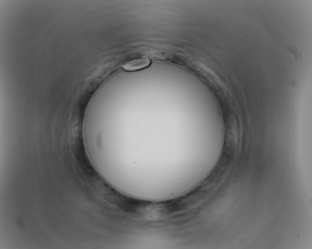 X0000113890513200910081811