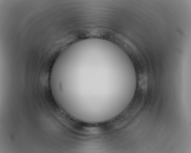 X0000113890514200910081811