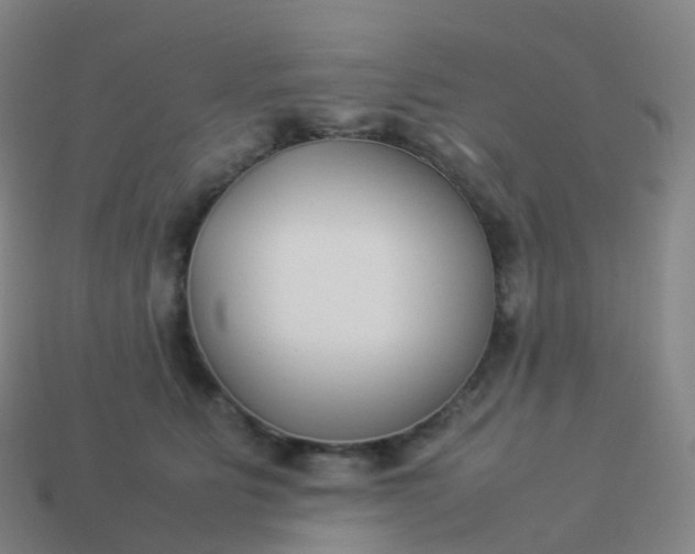 X0000113890515200910081811