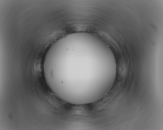 X0000113890516200910081811