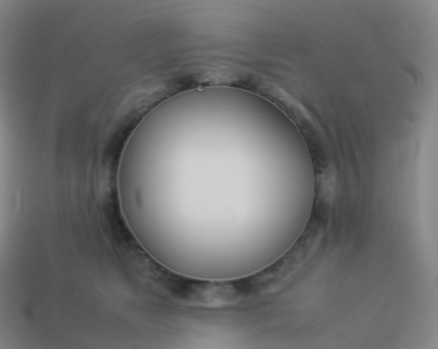 X0000113890517200910081811