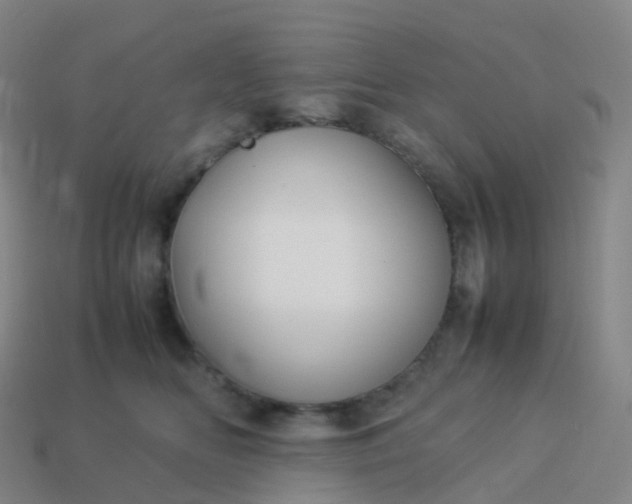 X0000113890518200910081811