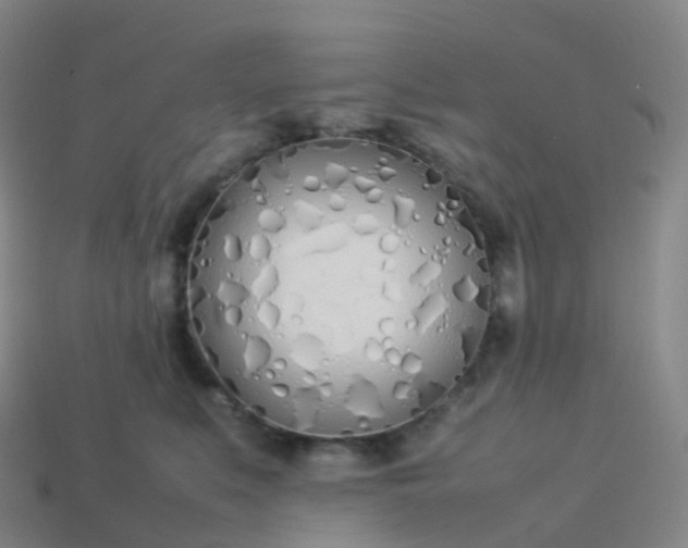 X0000113890519200910081811