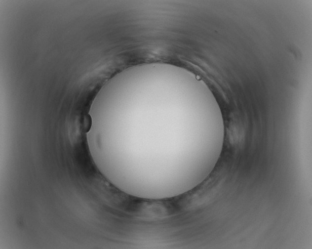 X0000113890520200910081811