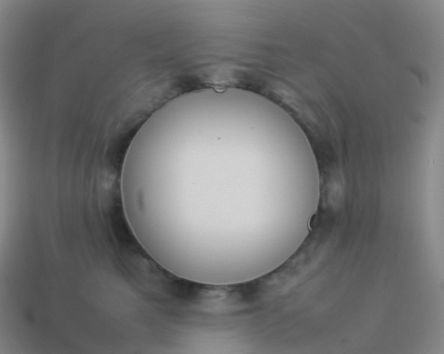 X0000113890521200910081811