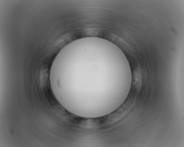 X0000113890522200910081811