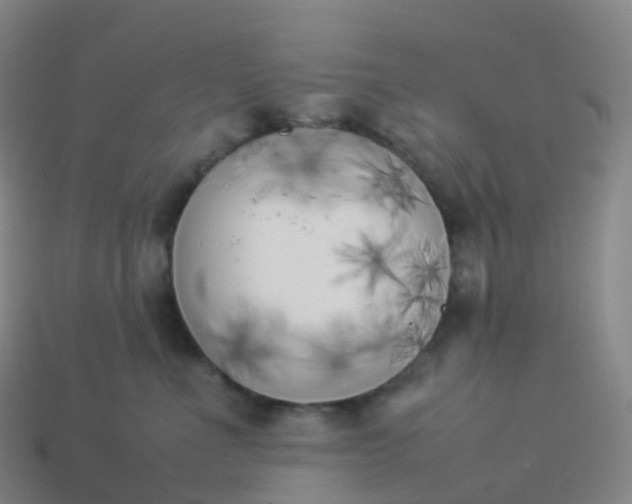 X0000113890523200910081811