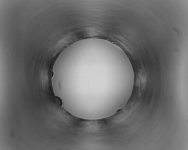 X0000113890524200910081811