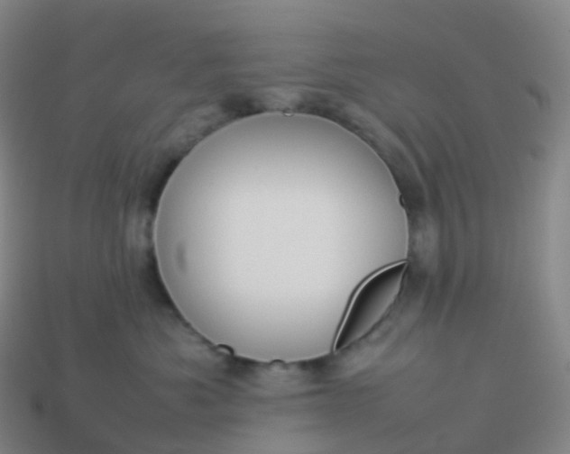 X0000113890525200910081811