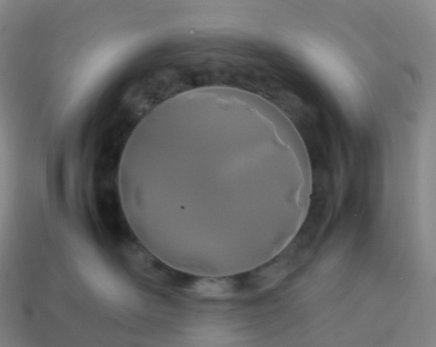 X0000113890526200910081811