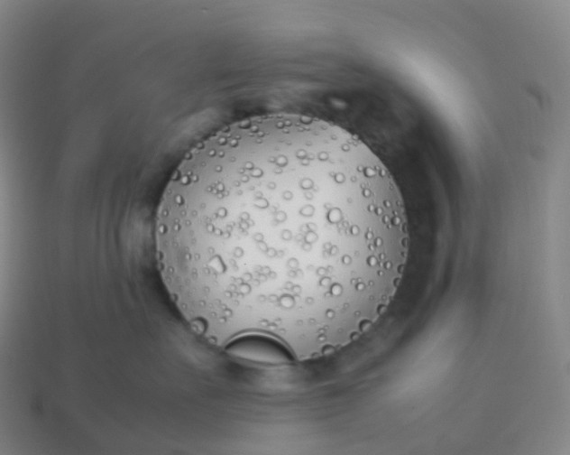 X0000113890527200910081811