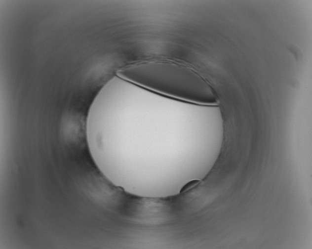 X0000113890528200910081811