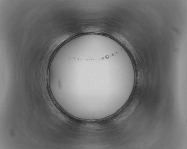 X0000113890529200910081810