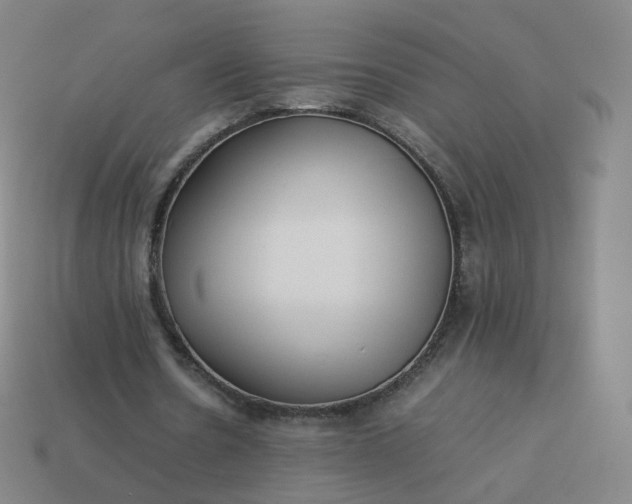 X0000113890530200910081810