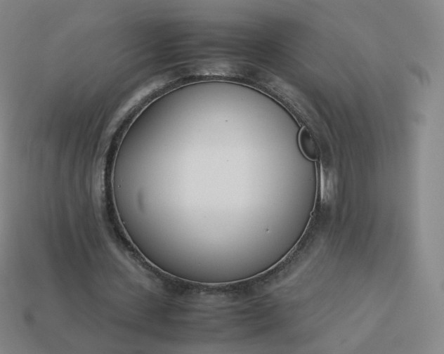 X0000113890531200910081810