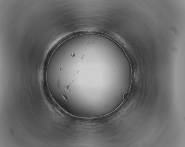 X0000113890532200910081810