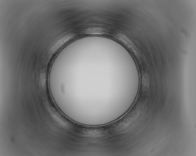 X0000113890533200910081810