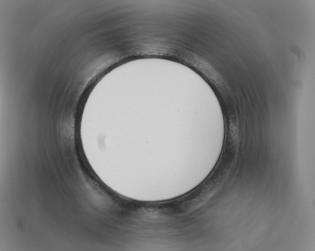 X0000113890534200910081810