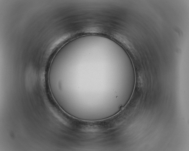 X0000113890535200910081810