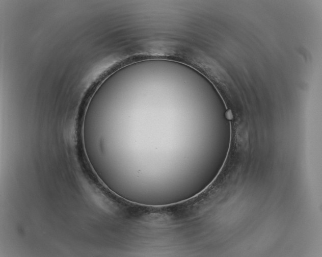 X0000113890536200910081810