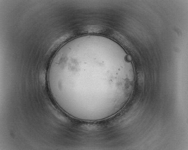 X0000113890537200910081810