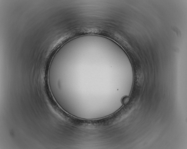 X0000113890538200910081810