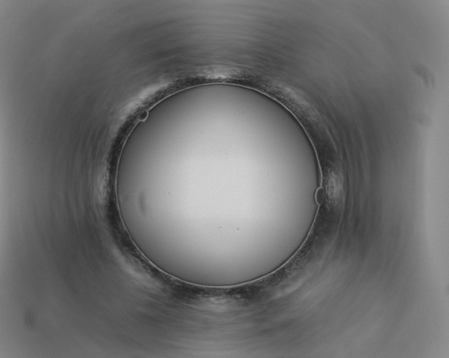 X0000113890540200910081810