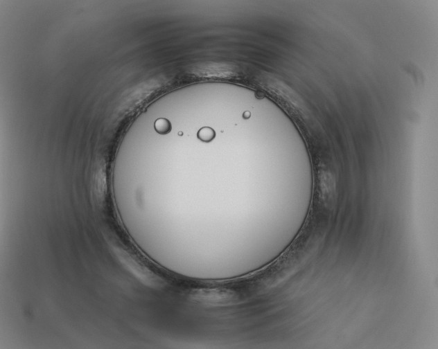 X0000113890541200910081810