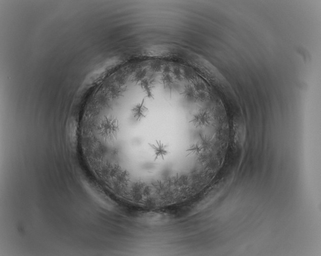 X0000113890542200910081810