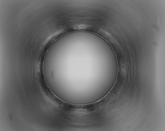 X0000113890543200910081810