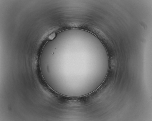 X0000113890544200910081810