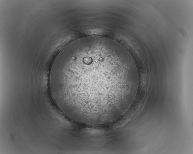 X0000113890545200910081810