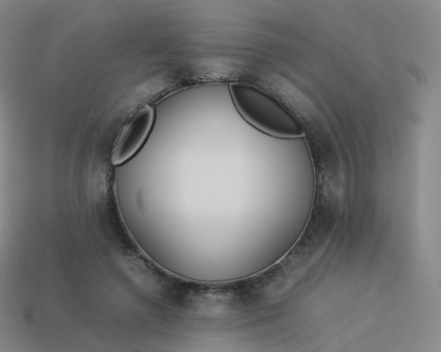 X0000113890546200910081810