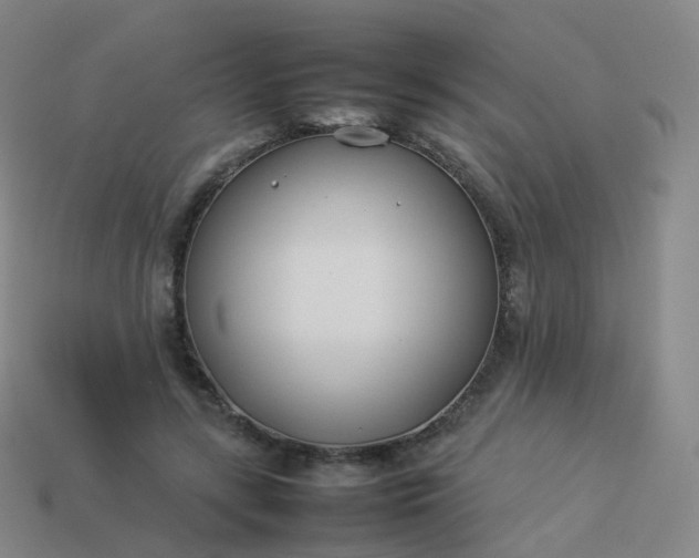 X0000113890547200910081810