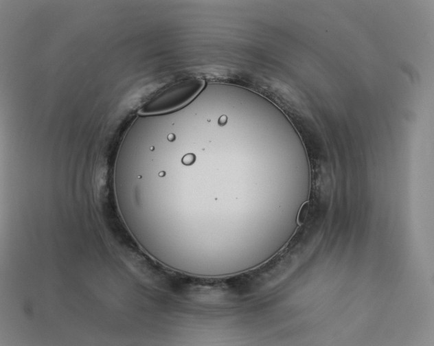 X0000113890548200910081810