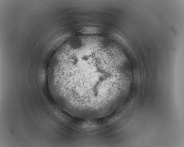 X0000113890549200910081810