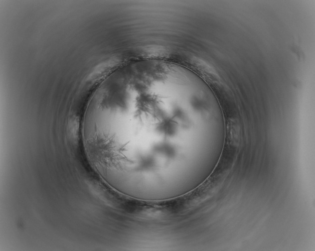 X0000113890550200910081810