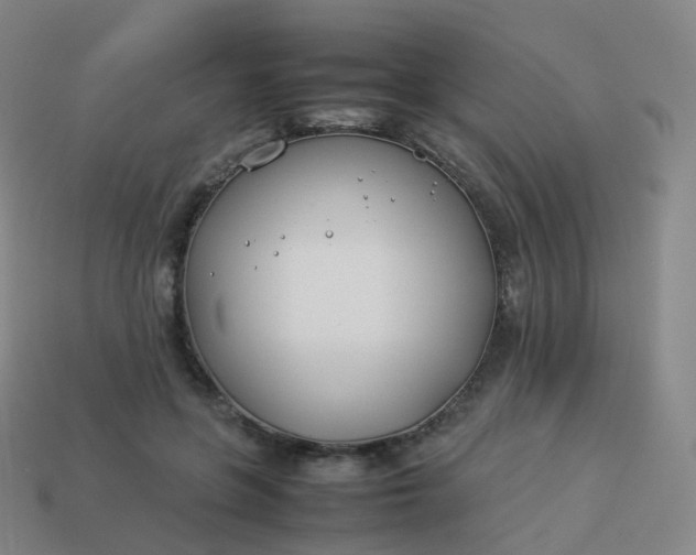 X0000113890551200910081810