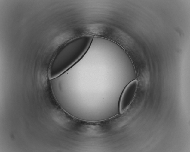 X0000113890552200910081810