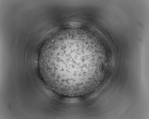 X0000113890553200910081810