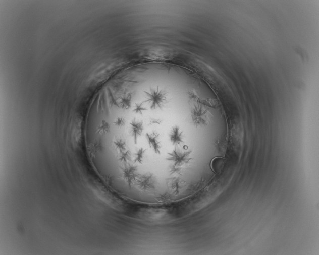 X0000113890554200910081810