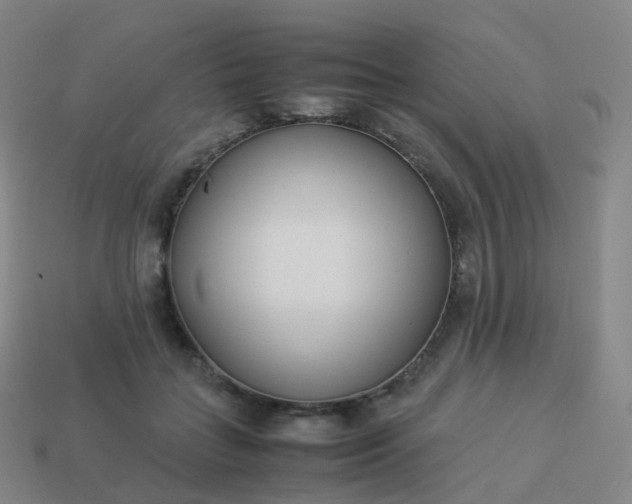 X0000113890555200910081810