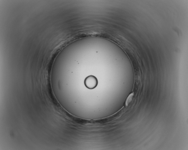 X0000113890556200910081810