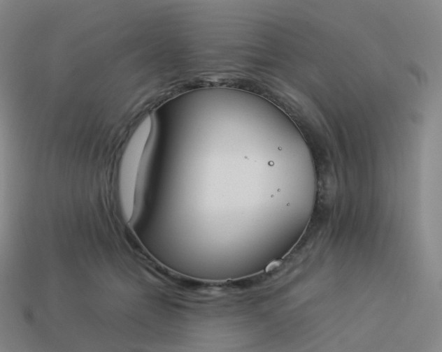 X0000113890558200910081810