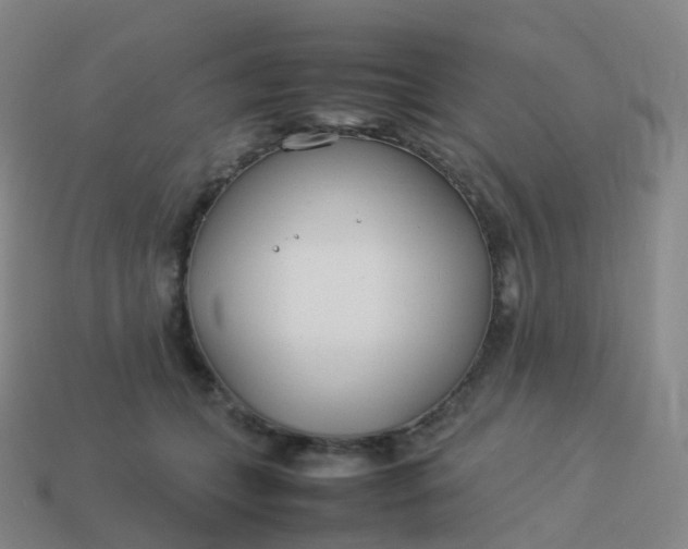 X0000113890559200910081810