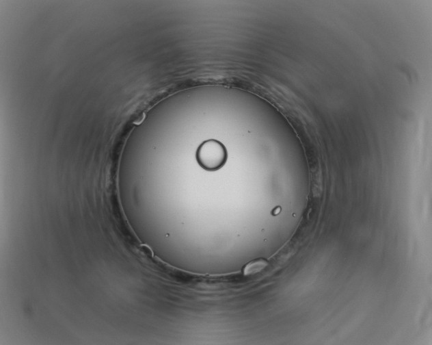 X0000113890560200910081810