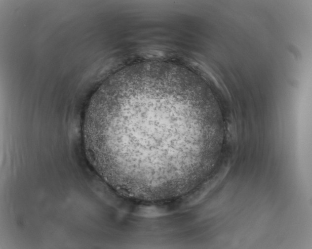 X0000113890561200910081810