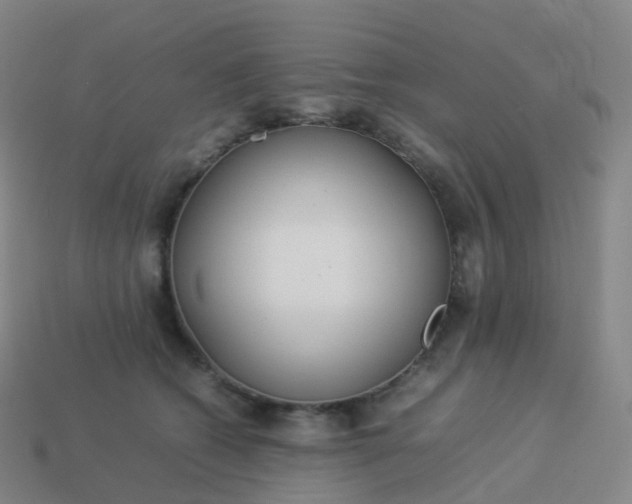 X0000113890562200910081810