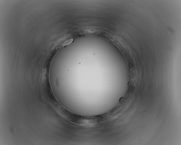 X0000113890563200910081811