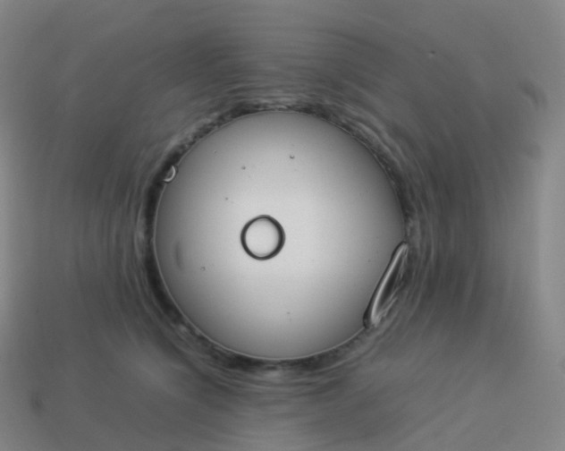 X0000113890564200910081811